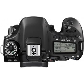 Amazon Canada: Canon EOS 80D DSLR Camera (Body Only)